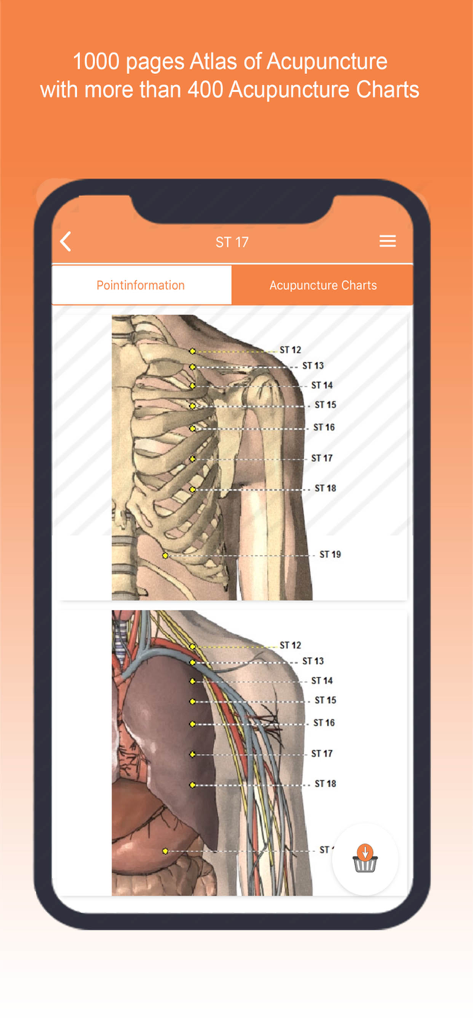 Shen-Acupuncture - Shen-Acupunctureアプリで胸部の経絡とツボの位置を示す鍼灸解剖図。