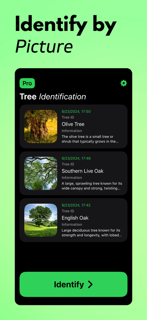 Uma interface de aplicativo móvel mostrando um histórico de espécies de árvores identificadas como Oliveira e Carvalho Inglês.
