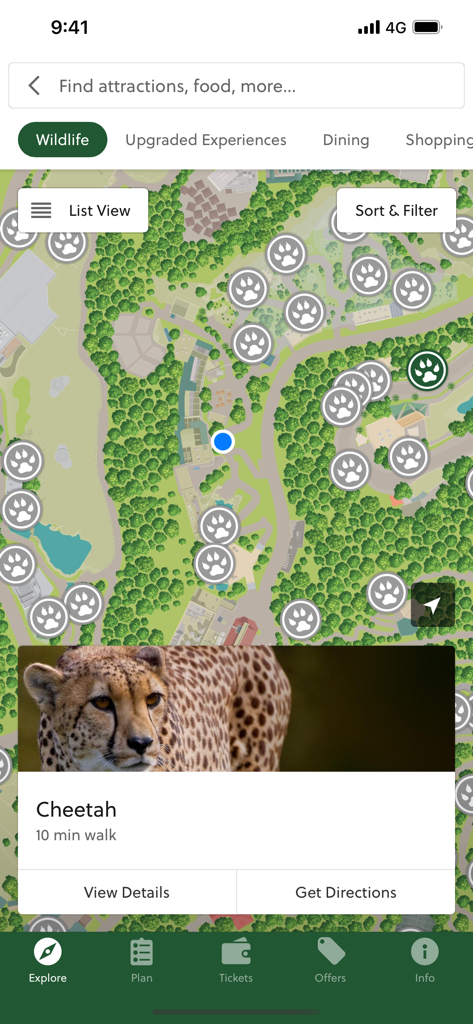 San Diego Zoo app map showing animal exhibits and walking directions to the cheetah