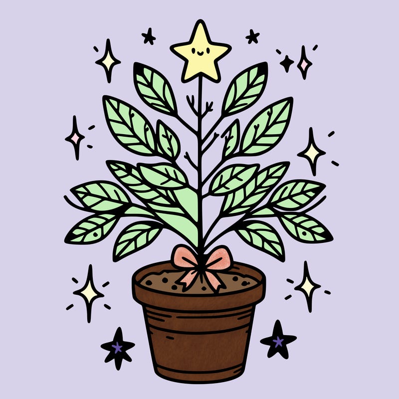 christmas plant