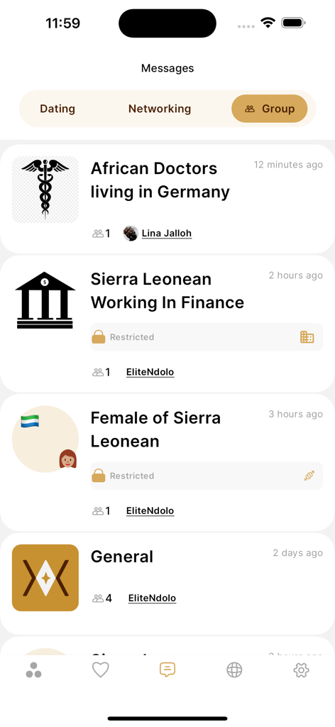 Elite Ndolo - Afro Dating - Interfaz de la aplicación Elite Ndolo que muestra chats grupales para networking profesional africano en campos como medicina y finanzas
