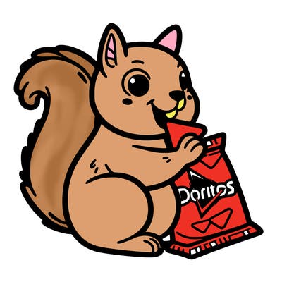 squirrel eating a bag of doritos