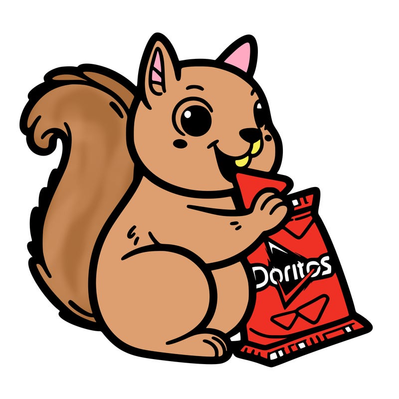 squirrel eating a bag of doritos