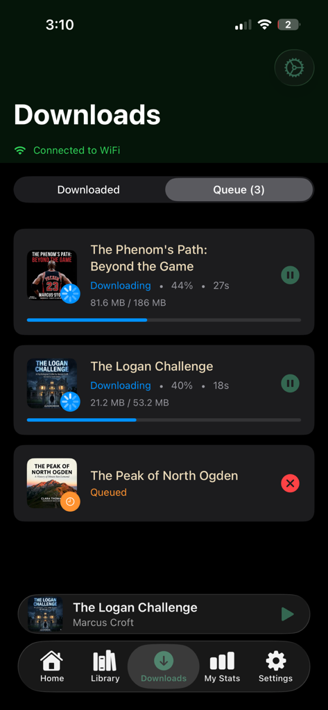 Audra Books - Screenshot of the Audra Books app download manager showing a queue of three audiobooks with progress bars and remaining download times