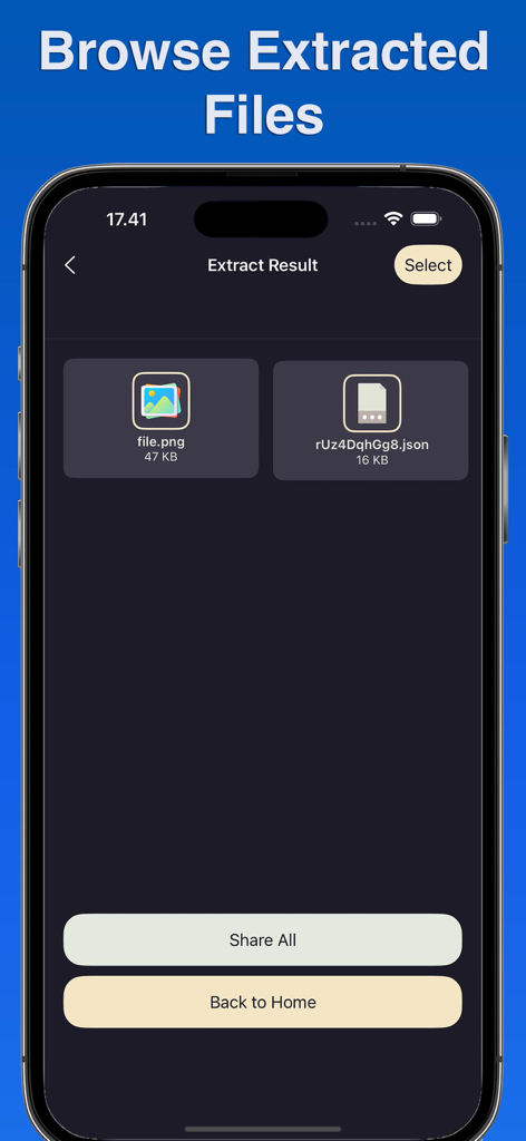 RAR Extractor・Unrar・Unarchiver - Interface do aplicativo móvel mostrando arquivos PNG e JSON extraídos com opções para compartilhar tudo.