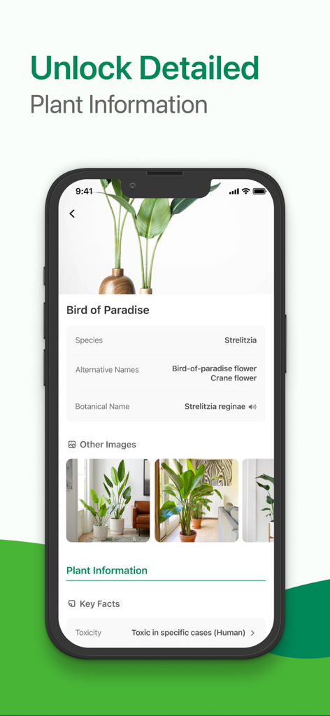 Identify My Plant Now - Bird of Paradise plant identification profile showing botanical names and toxicity information