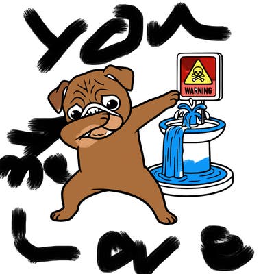 pug a warning water fountain and dabing