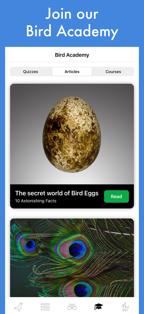 Smart Bird ID: Bird Identifier - Bird Academy screen in the Smart Bird ID app showing educational articles about bird eggs and feathers
