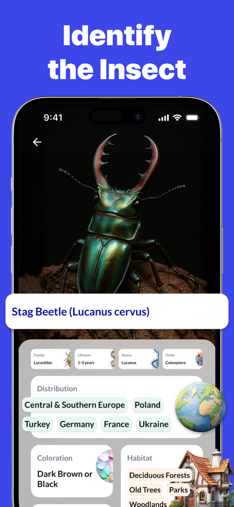 AI Scanner app screen identifying a Stag Beetle with detailed biological information