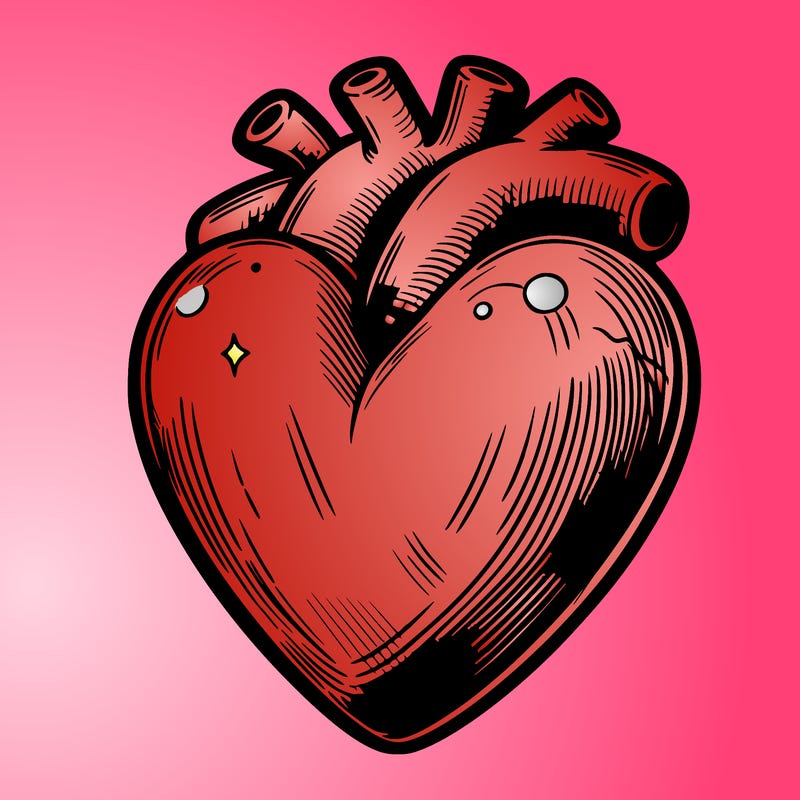 realistic heart