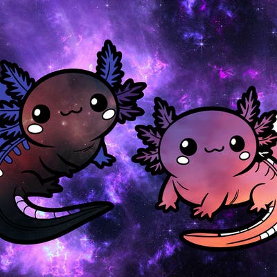 cute axolotls