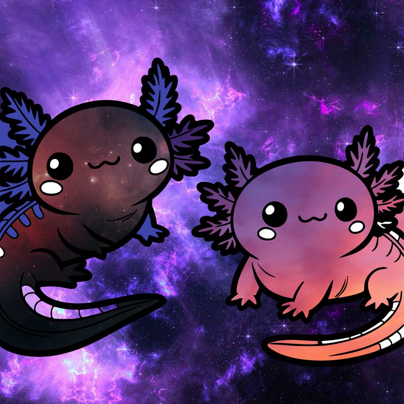 cute axolotls