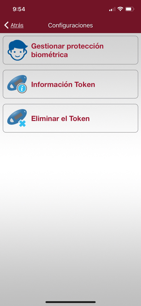 INVEX KEY - Settings screen for managing biometric protection and token details in the INVEX KEY app