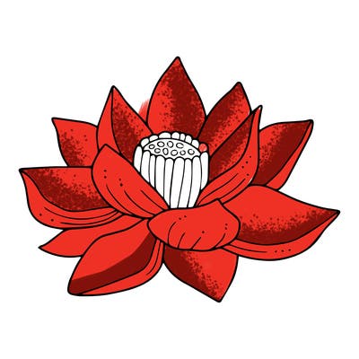 flowers_08