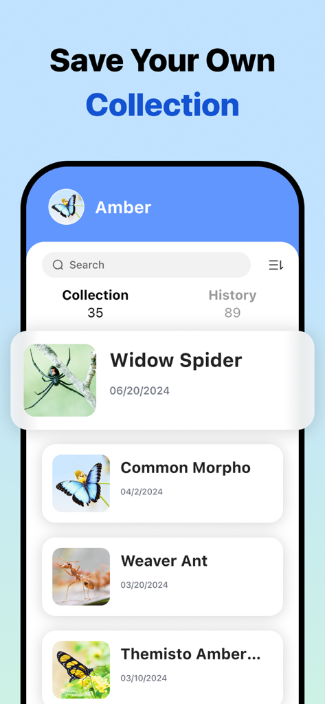 A mobile interface of the Picture Insect app showing a user's saved collection of identified insects including a Widow Spider and Common Morpho.