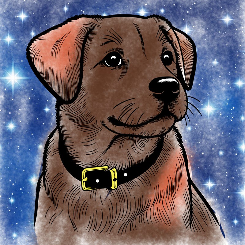 dog realistic
