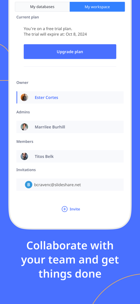 Ninox - Ninox mobile app interface for managing team members and workspace collaboration settings