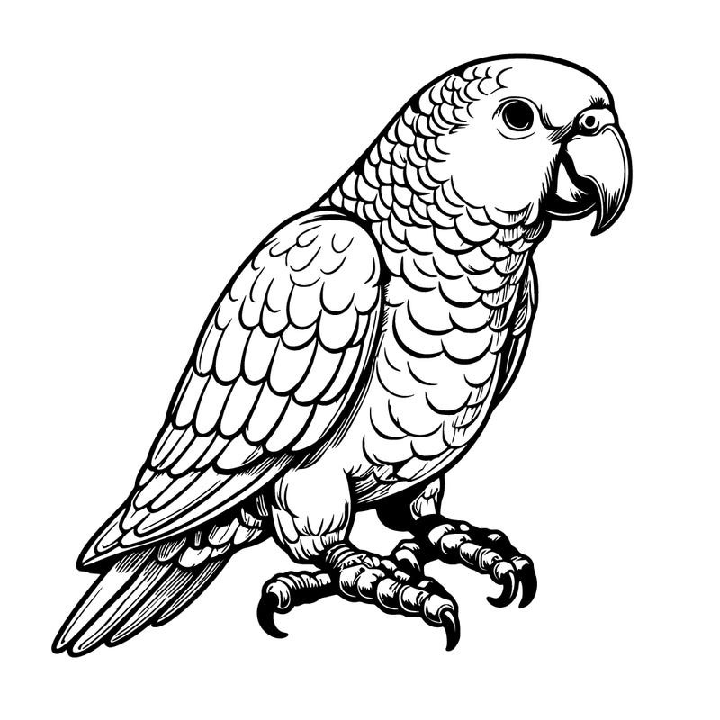 realistic parrot