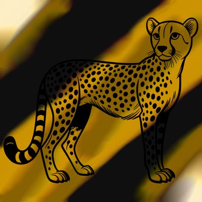 cheetah
