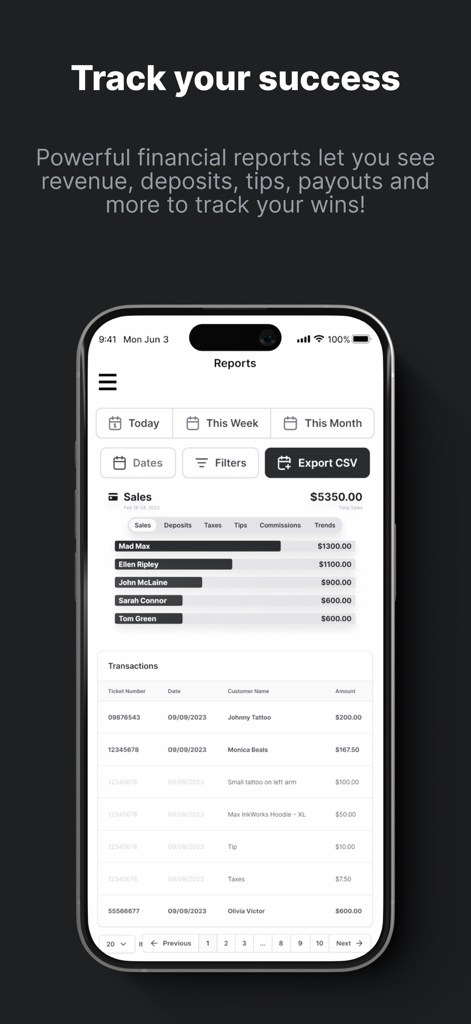 Tattoo Studio Pro - Financial reporting dashboard for tattoo studios showing sales and transactions