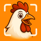Chicken Identifier – RoostScan