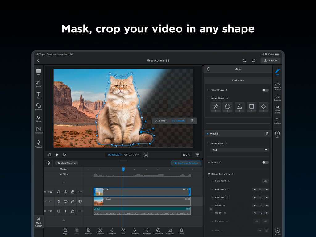 WEILO - My Last Video Editor - WEILO video editor on iPad showing a cat being masked with a pen tool for custom cropping