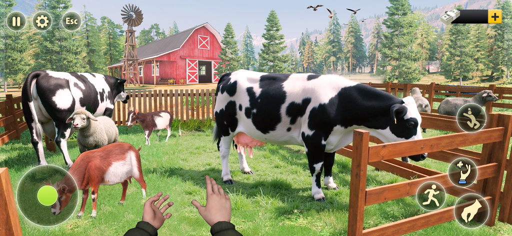 Ranch Farm Store Animal Sim 25 - Vista en primera persona de vacas y cabras en un área de rancho cercada con un granero rojo
