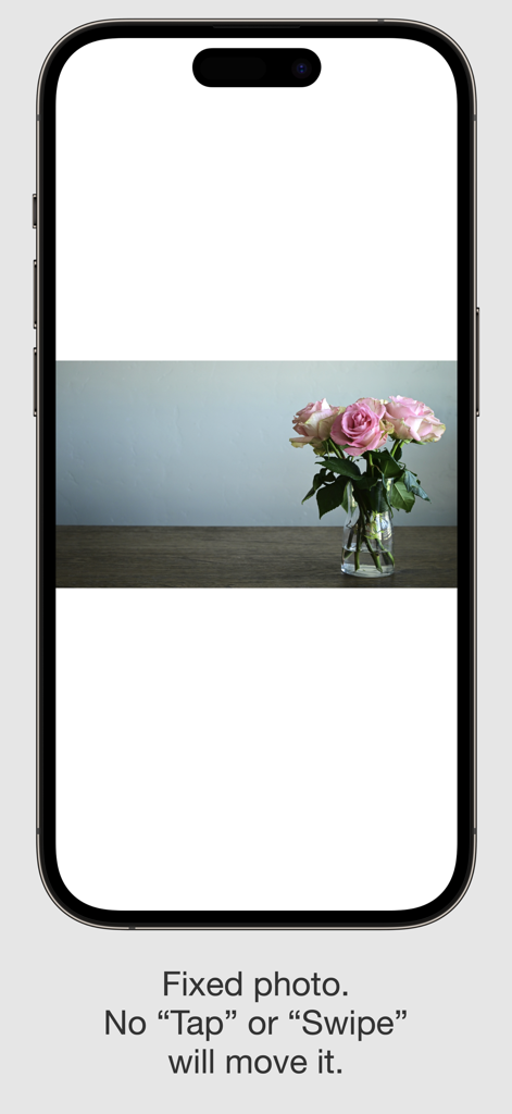 Photo Holder - Screenshot of the Photo Holder app showing a fixed photo of pink roses on an iPhone screen with text explaining the screen lock feature