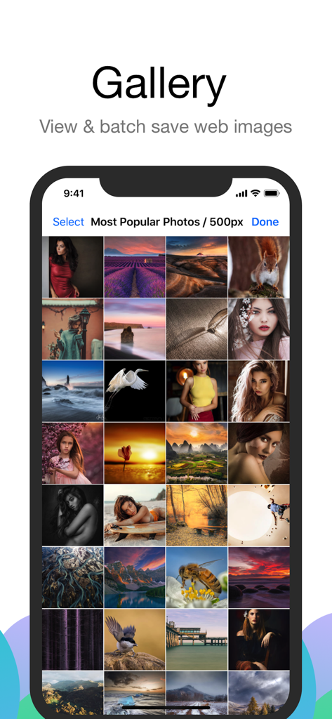 Interface de galeria do Alook Browser mostrando uma grade de imagens da web disponíveis para salvamento em lote.
