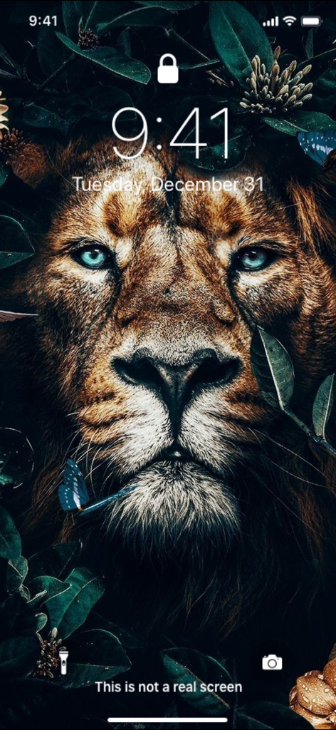 Majestic lion with blue eyes iPhone lock screen wallpaper