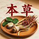 本草中医-自学中医小助手