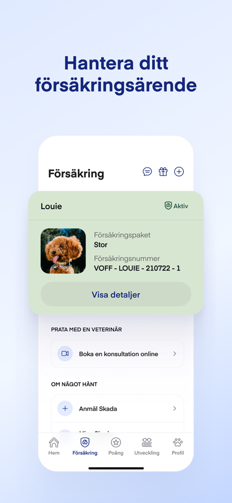 Lassie - Interface of the Lassie pet insurance app showing a dog's active policy details and options to book a digital vet consultation.