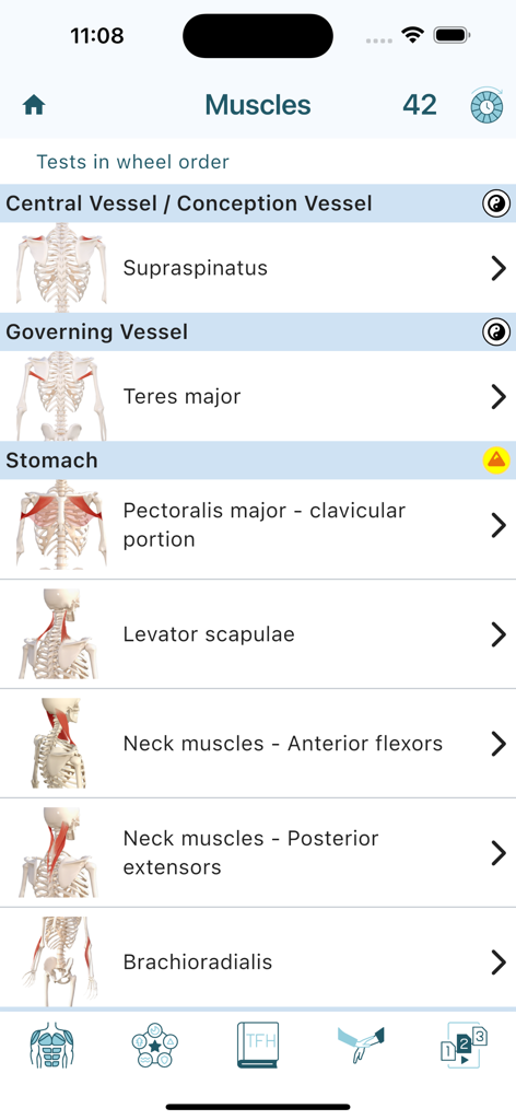 Touch For Health app interface displaying a list of muscles with anatomical diagrams categorized by vessel and organ.