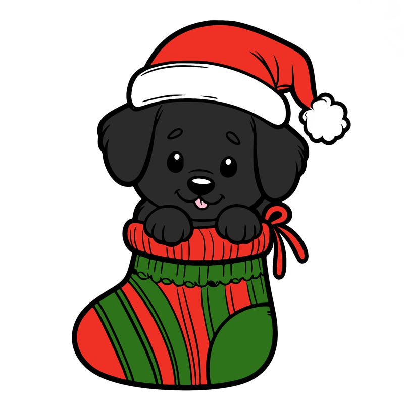 cute puppy wearing santa hat in socking