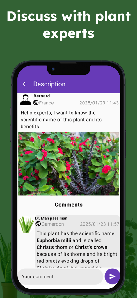 Medicinal herbs identification - Una interfaz de aplicación móvil que muestra una discusión en el foro donde un experto en plantas identifica una planta medicinal para un usuario.