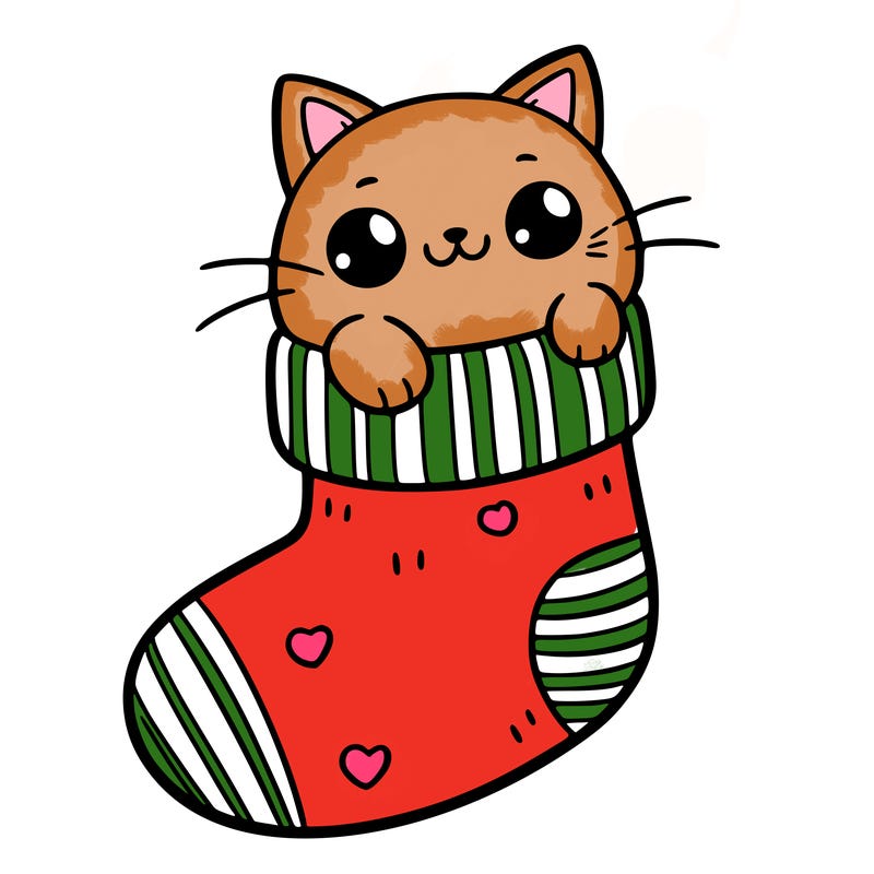 cute cat in a sock