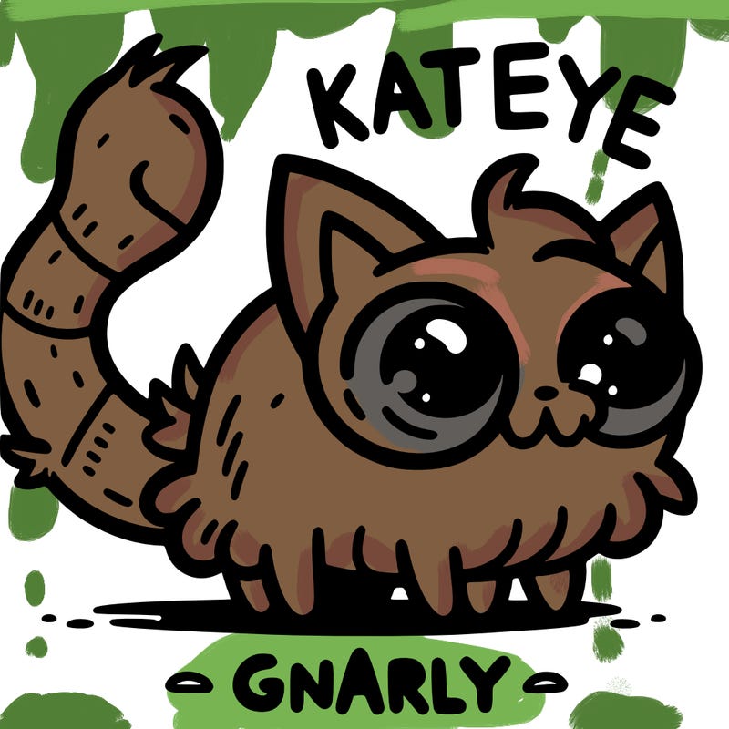 katseye gnarly
