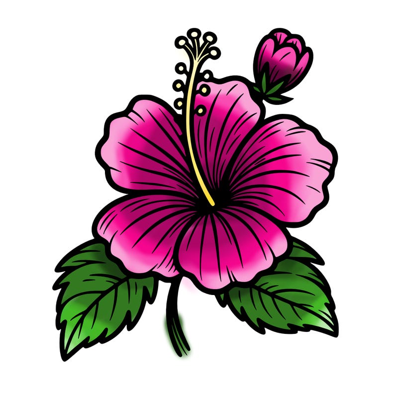 hibiscus flower