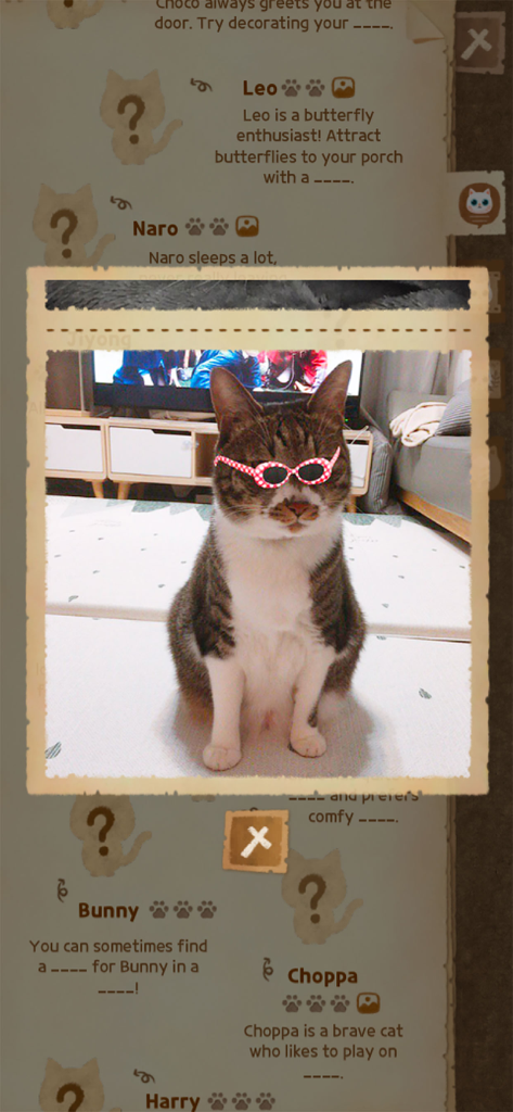 Secret Cat Forest - Un gato real con gafas de sol, mostrado en el álbum del juego Secret Cat Forest.