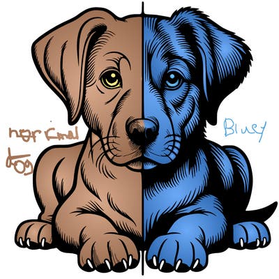 realistic dog split picture