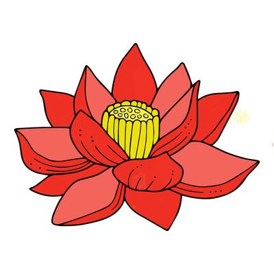 flowers_08
