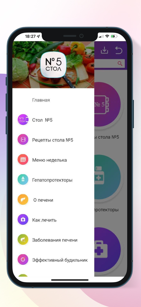 Side navigation menu of the Table No 5 medical diet app showing liver health categories and recipes