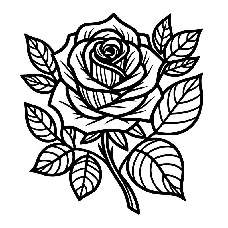 rose