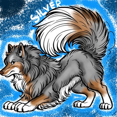 a growling wolf arching it’s back with lots of floof