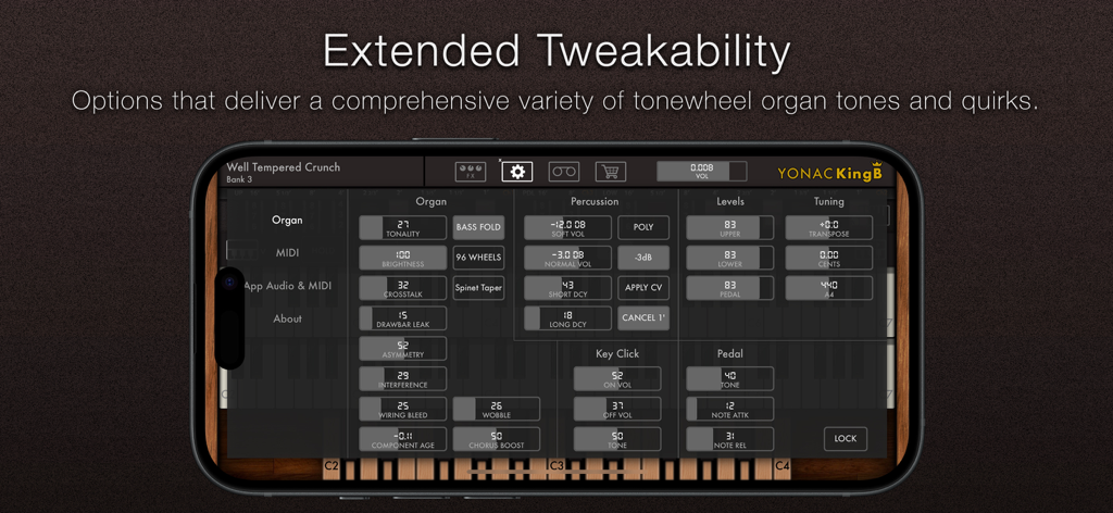 KingB Organ - KingB Organ app screen showing advanced modeling parameters for tonewheel sounds