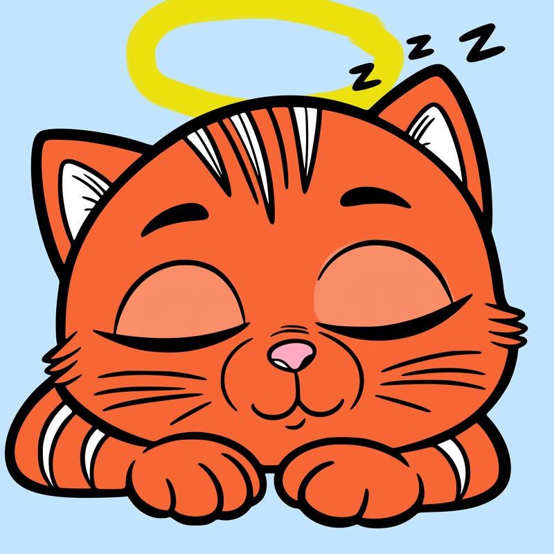 sleepy cat