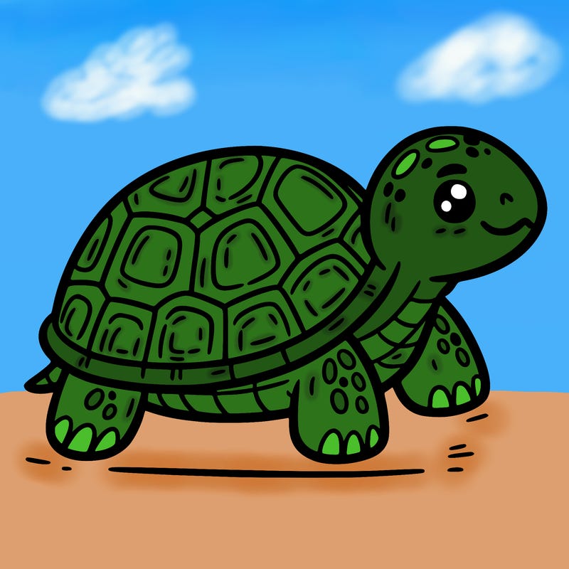 turtle