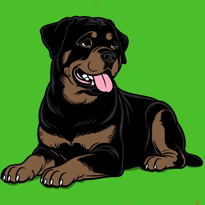 rottweiler