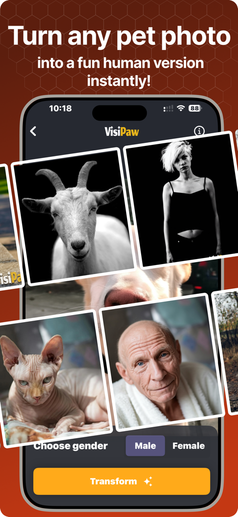 Pet To Human - VisiPaw - VisiPaw app interface showing AI transformations of a goat and a hairless cat into their human versions