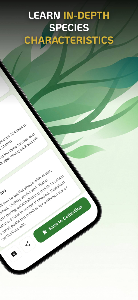 Tree Identifier : Leaf Finder - Treely app screen displaying detailed tree species characteristics and care instructions